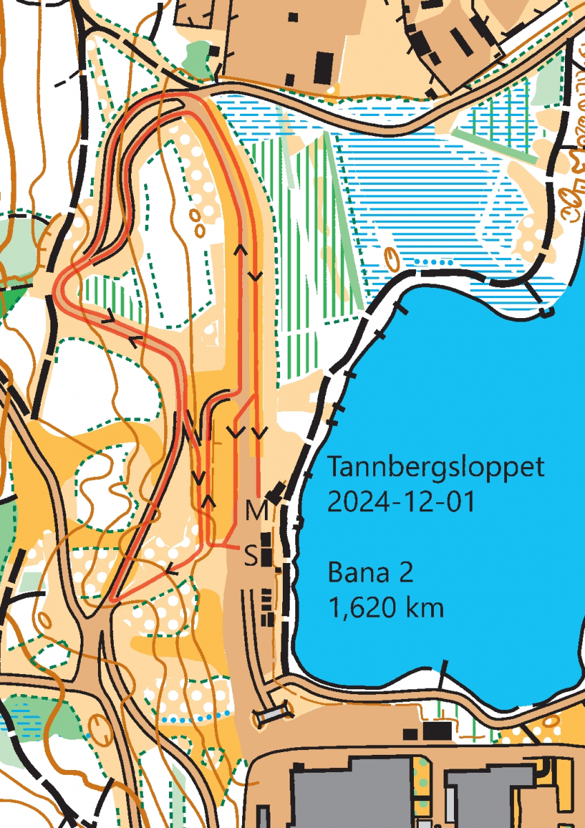 /explorer/images/Tannbergsloppet%2020241201%20Bana%202_241128_211731.png
